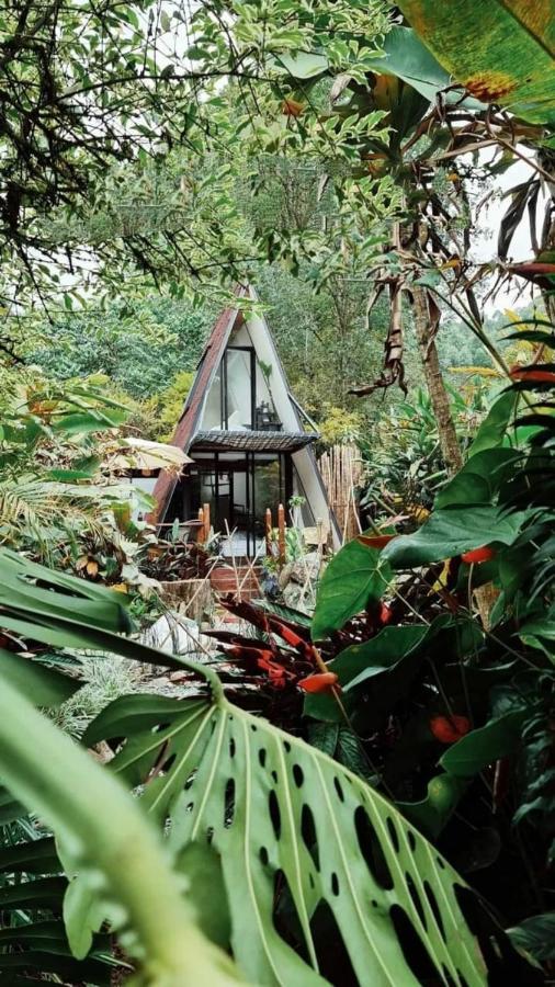 Hotel Glamping Salento con jacuzzi climatizado Esterno foto