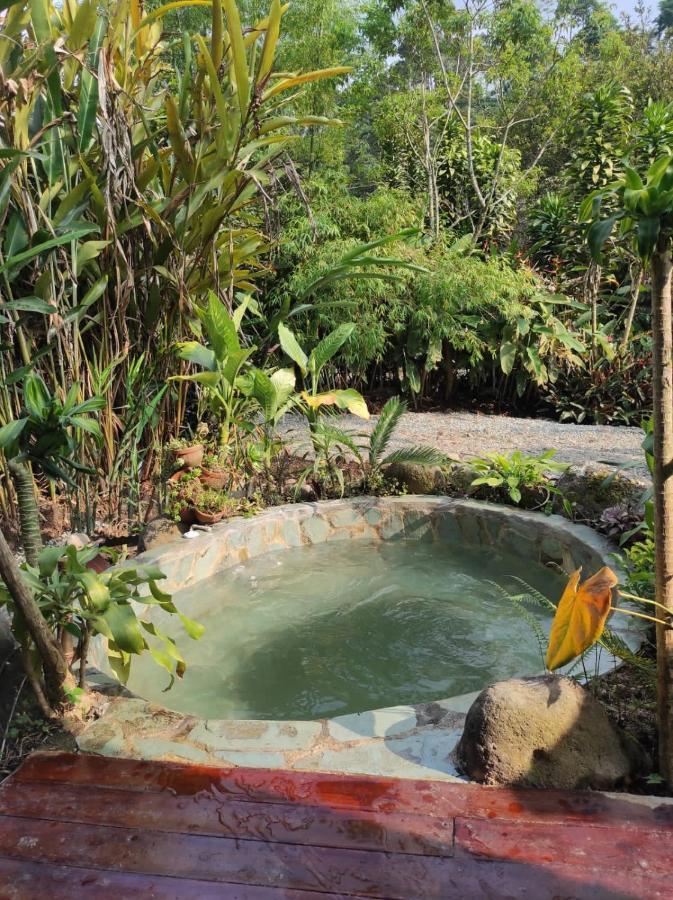 Hotel Glamping Salento con jacuzzi climatizado Esterno foto